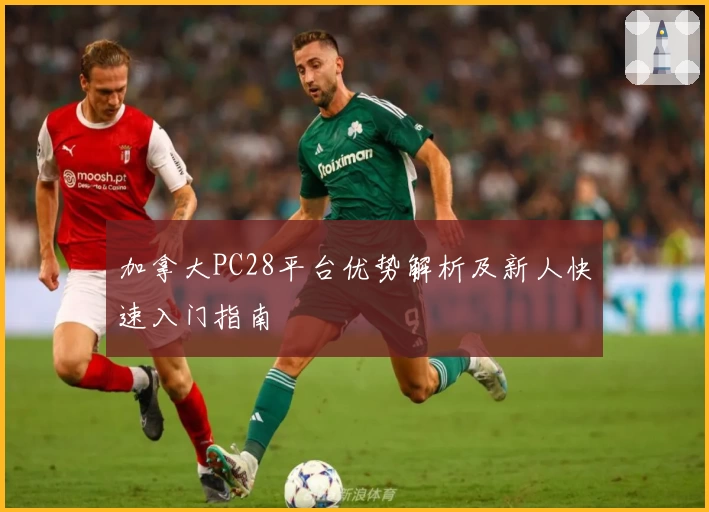 加拿大PC28平台优势解析及新人快速入门指南