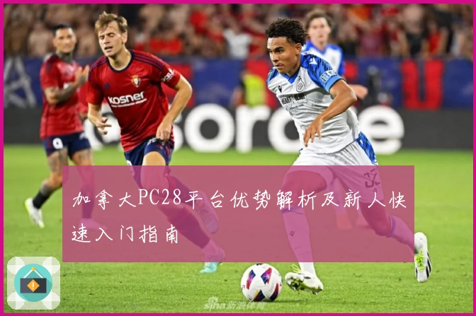 加拿大PC28平台优势解析及新人快速入门指南