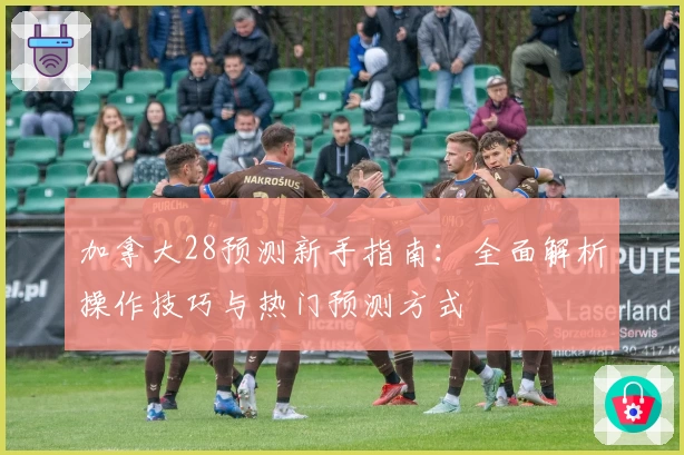 加拿大28预测新手指南：全面解析操作技巧与热门预测方式