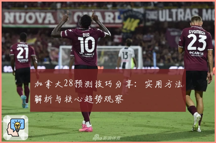 加拿大28预测技巧分享：实用方法解析与核心趋势观察