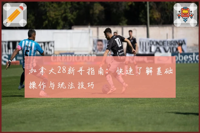 加拿大28新手指南：快速了解基础操作与玩法技巧