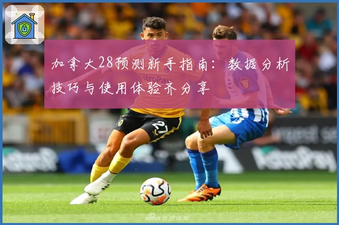 加拿大28预测新手指南：数据分析技巧与使用体验齐分享