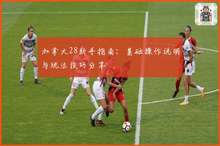 加拿大28新手指南：基础操作说明与玩法技巧分享