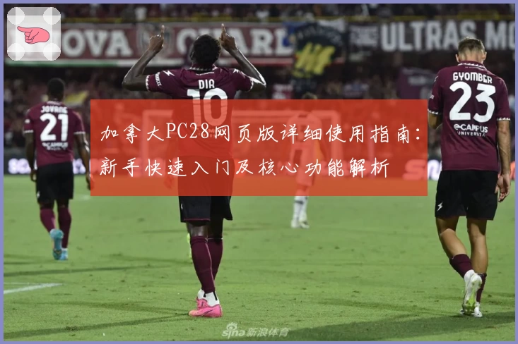 加拿大PC28网页版详细使用指南：新手快速入门及核心功能解析