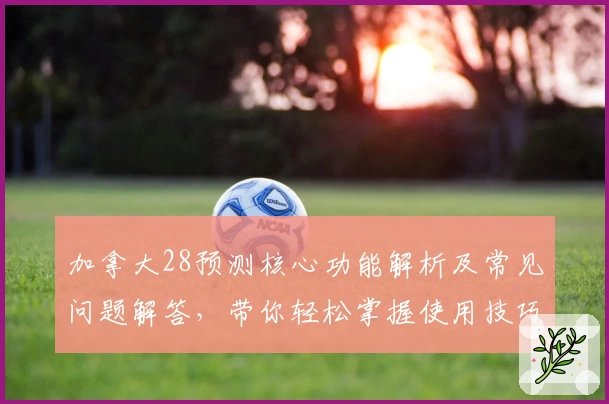 加拿大28预测核心功能解析及常见问题解答，带你轻松掌握使用技巧