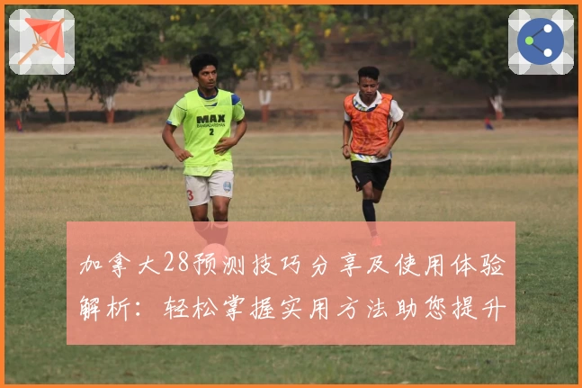 加拿大28预测技巧分享及使用体验解析：轻松掌握实用方法助您提升准确率