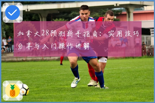 加拿大28预测新手指南：实用技巧分享与入门操作讲解