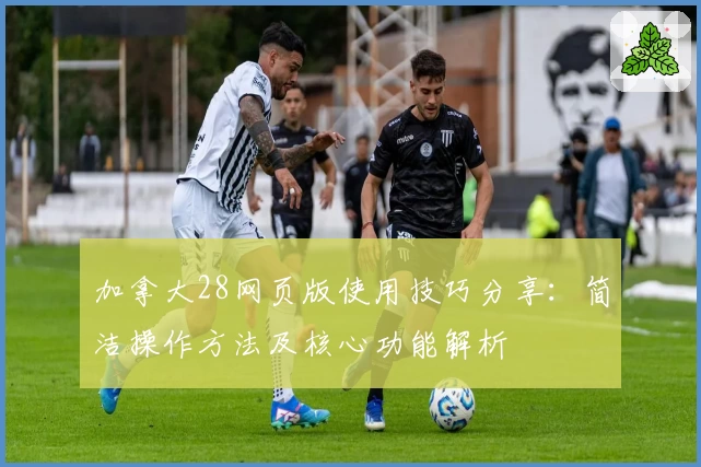 加拿大28网页版使用技巧分享:简洁操作方法及核心功能解析