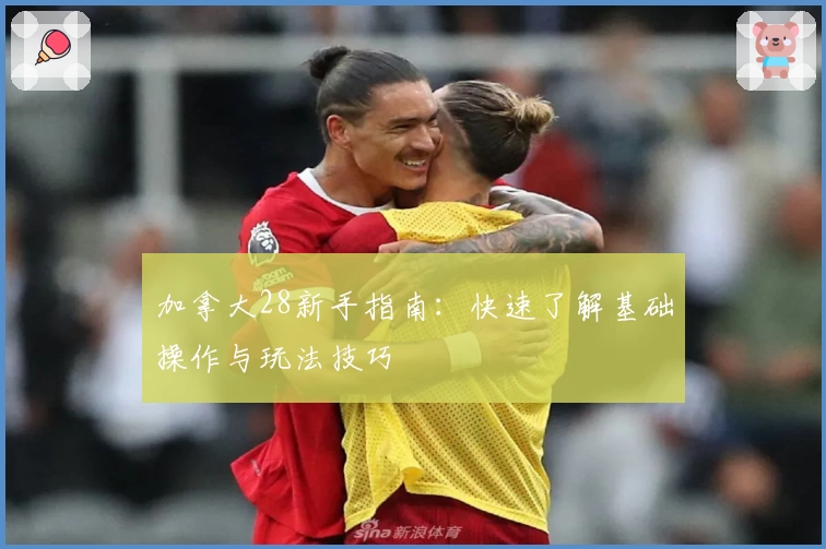 加拿大28新手指南：快速了解基础操作与玩法技巧