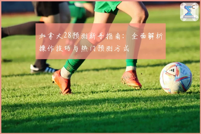 加拿大28预测新手指南：全面解析操作技巧与热门预测方式