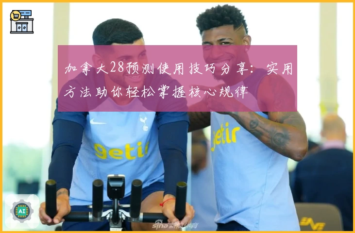 加拿大28预测使用技巧分享：实用方法助你轻松掌握核心规律